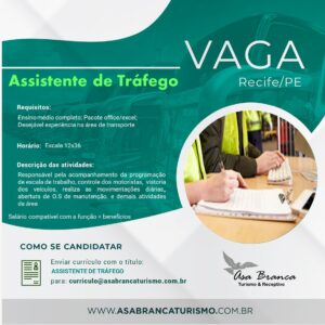 Assistente de Tráfego